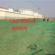 科技赋能绿色农业 昆明奥盖尼如何让高端鹅肝走向大众餐桌